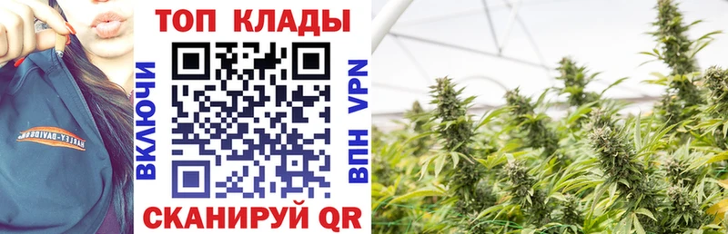 Купить закладку ГАШИШ  Псилоцибиновые грибы  Меф мяу мяу  СК  Владивосток