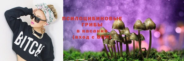 шишки Тобольск