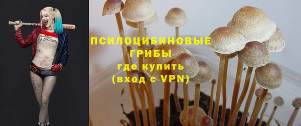 дживик Тихвин