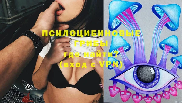шишки Тобольск