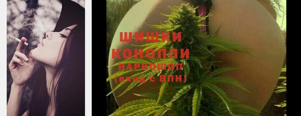 шишки Тобольск