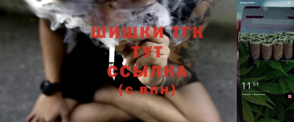 дживик Тихвин
