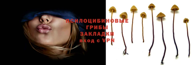 шишки Тобольск