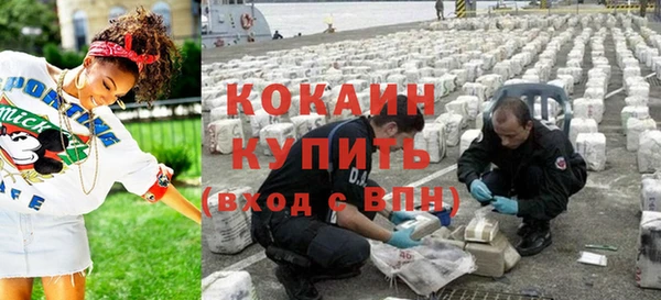 дживик Тихвин