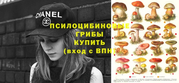 круглые Туринск
