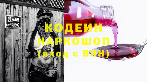 шишки Тобольск
