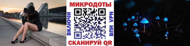 Галлюциногенные грибы Psilocybine cubensis  Купить закладки  Владивосток 